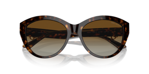Havana / Polarized Gradient Brown (5002T5)