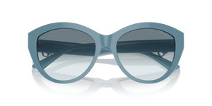 Blue / Gradient Blue (501219)