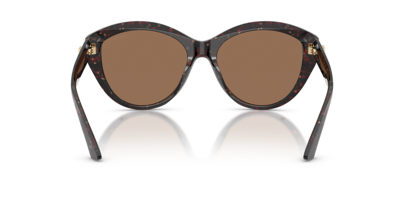 Jimmy Choo JC5007 in Dark Havana Glitter - Temple Detail