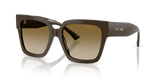 Caper Green / Brown Gradient (506013)