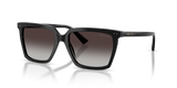 Black / Gradient Gray (50008G)