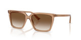 Transparent Tan / Brown Gradient (507613)