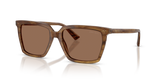 Brown Havana / Dark Brown (508573)