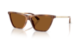 Tan Havana / Dark Brown (509673)