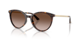 Havana / Gradient Brown (500213)