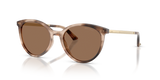 Havana / Dark Brown (509773)