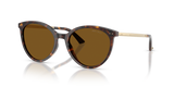 Havana / Dark Brown Polarized (500283)