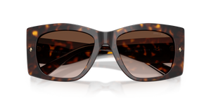 Havana / Brown Gradient (500213)