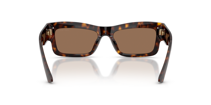 Jimmy Choo JC5063U in Havana - Alternate View