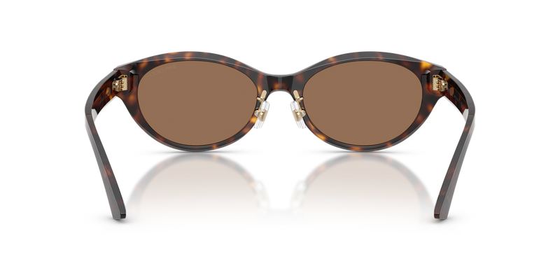 Jimmy Choo JC5064D in Havana - Alternate View