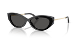 Black/Transparent Grey / Dark Grey (510387)