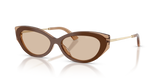 Brown/Tan / Light Brown (510593)