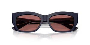 Blue Navy / Dark Violet (501669)