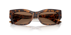 Brown Tortoise / Dark Brown (512173)
