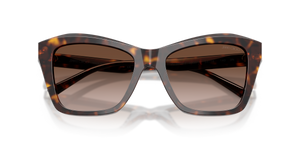 Havana / Brown Gradient (500213)