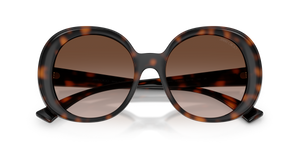Havana / Brown Gradient (500213)