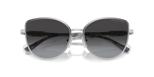 Shiny Silver / Navy Gradient (18938G)