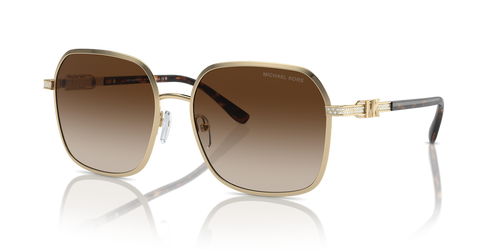 Shiny Light Gold / Brown Gradient (101413)