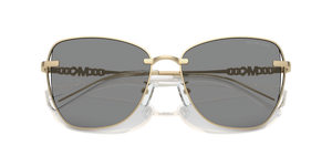 Shiny Light Gold / Grey Solid (10143F)