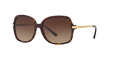Dark Tortoise / Brown Gradient (310613)