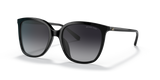 Black / Dark Grey Polarized (3005T3)