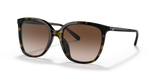 Dark Tortoise / Brown Gradient (300613)