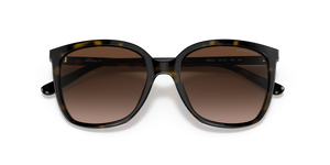 Dark Tortoise / Brown Gradient (300613)