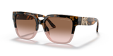 Tortoise / Brown Pink Gradient (390913)