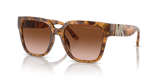 Marigold Tortoise / Dark Brown Gradient (39153B)