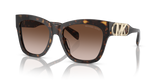 Dark Tortoise / Brown Gradient (300613)