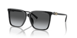 Black / Grey Gradient Polarized (3005T3)