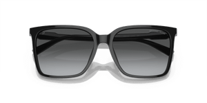 Black / Grey Gradient Polarized (3005T3)