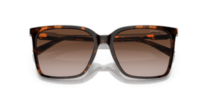 Dark Tortoise / Brown Gradient (300613)