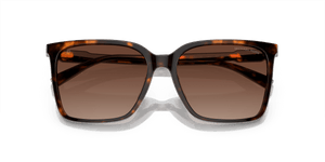Dark Tortoise / Brown Gradient Polarized (3006T5)