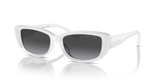 Optic White / Dark Grey Gradient (31008G)