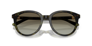 Olive Tortoise / Olive Gradient (39433M)