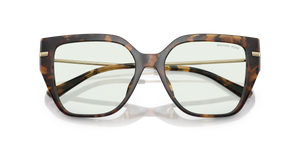 Dark Tortoise / Green Solid Photochromic (3006M1)
