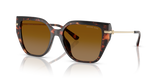 Luggage Tortoise / Brown Polarized (40319P)