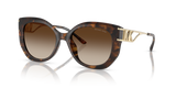 Dark Tortoise / Brown Gradient (300613)