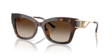 Dark Tortoise / Brown Gradient (300613)