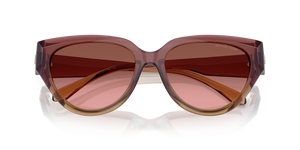 Dusty Rose Light Brown / Brown Rose Gradient (325611)