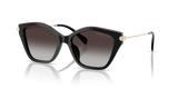 Black / Dark Grey Gradient (30058G)