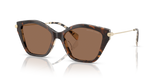 Dark/Cream Tortoise / Brown Solid (395173)