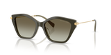 Olive Smoke / Olive Gradient (40193M)