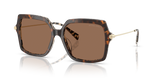 Dark/Cream Tortoise / Brown Solid (395173)