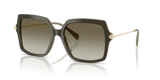 Olive Smoke / Olive Gradient (40193M)