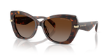 Luggage Tortoise / Brown Gradient Polarized (4031T5)
