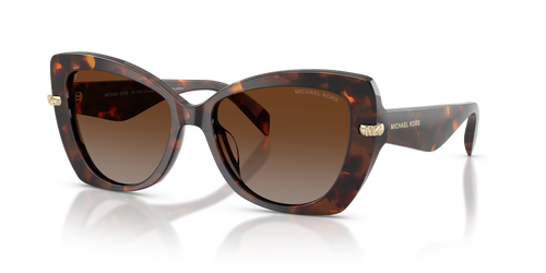 Luggage Tortoise / Brown Gradient Polarized (4031T5)