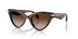 Luggage Tortoise / Smoke Gradient (403113)