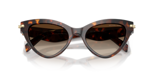 Luggage Tortoise / Smoke Gradient (403113)